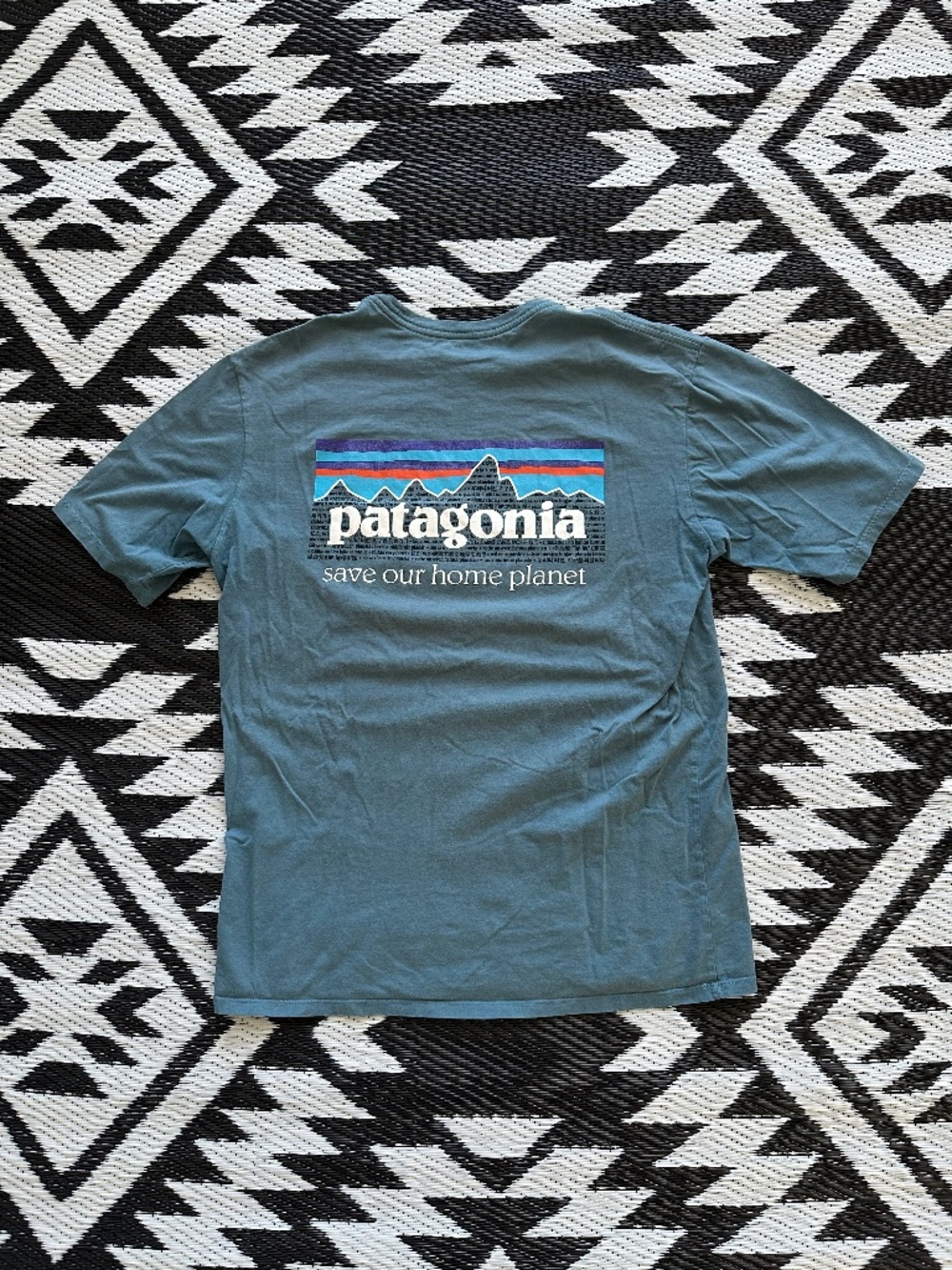 Patagonia Organic Cotton Logo Print T-Shirt